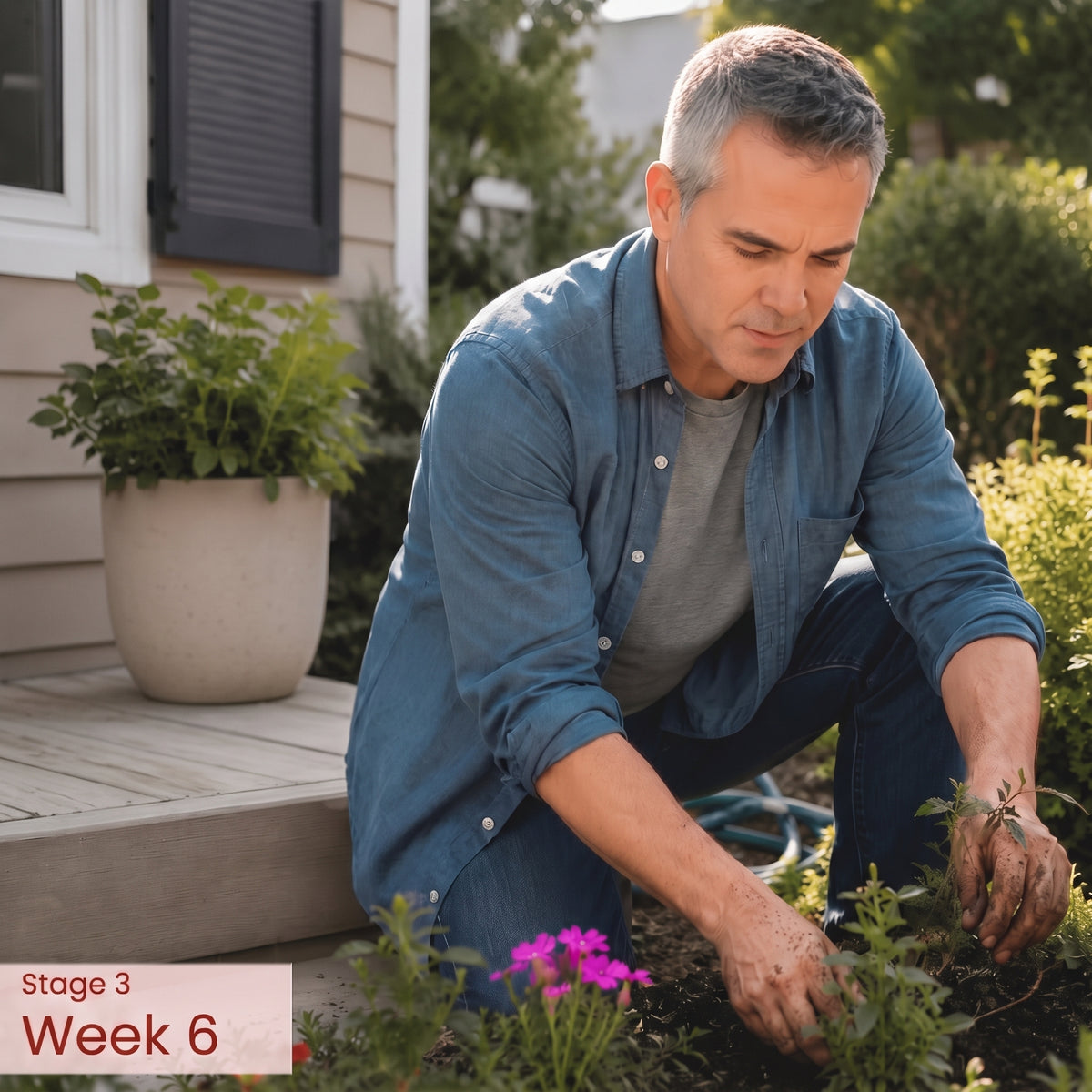 Week 6